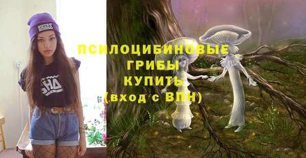 марки nbome Богородицк