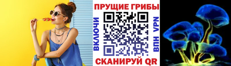 Галлюциногенные грибы Cubensis  Городец 