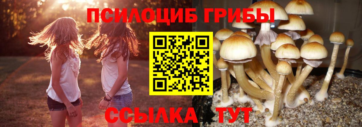 Галлюциногенные грибы Cubensis  Вход с VPN  Галлюциногенные грибы мухоморы  Городец 