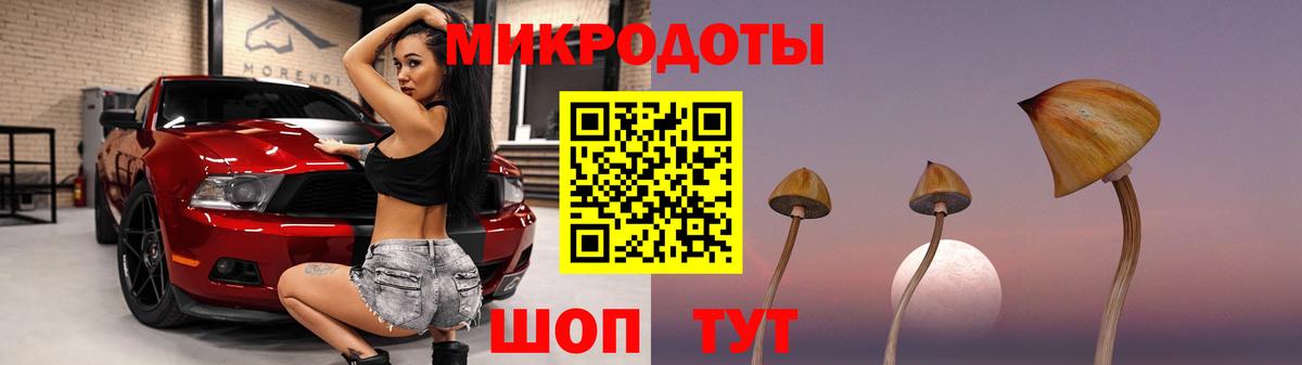 Галлюциногенные грибы мицелий Городец